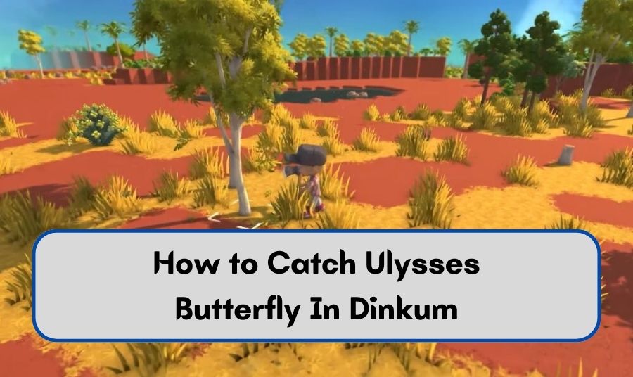 How to Catch Ulysses Butterfly In Dinkum