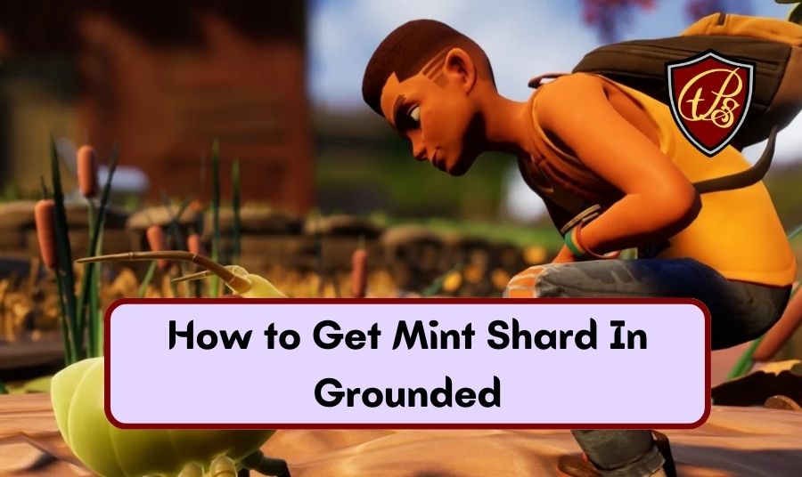 How to Get Toadstool Chunk In Grounded The Poster Style